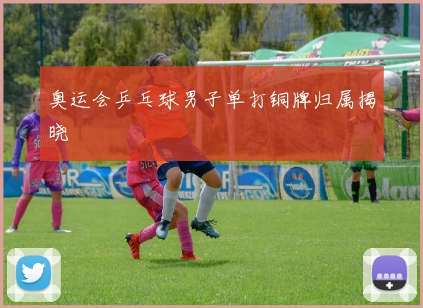 奥运会乒乓球男子单打铜牌归属揭晓