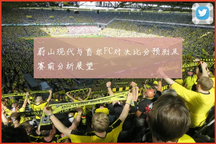 蔚山现代与首尔FC对决比分预测及赛前分析展望