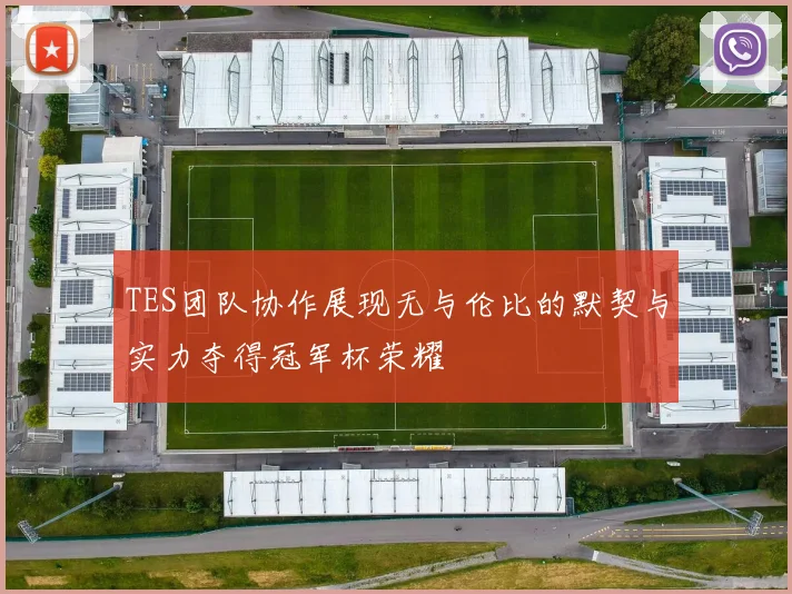 TES团队协作展现无与伦比的默契与实力夺得冠军杯荣耀